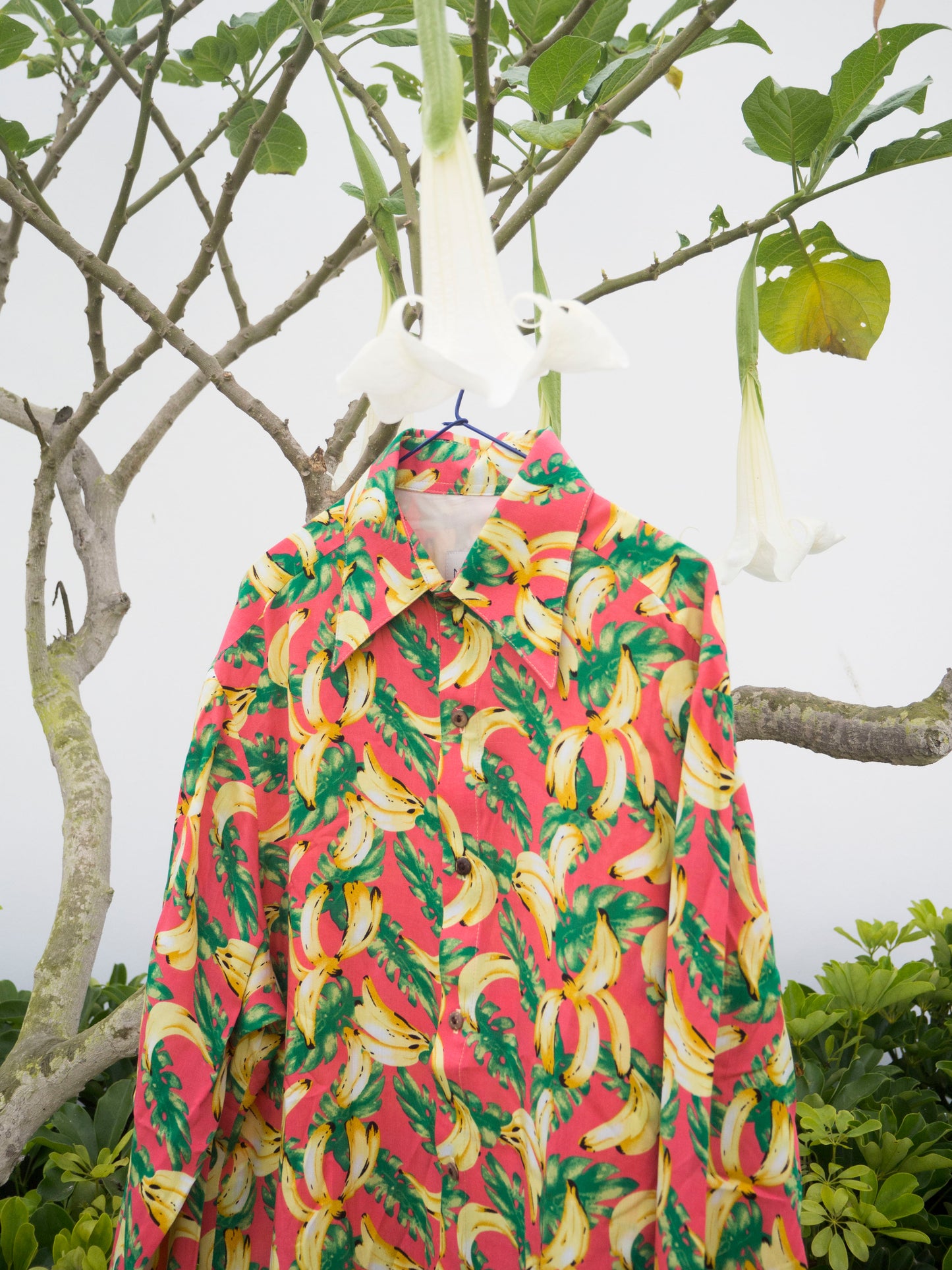Nefelibata